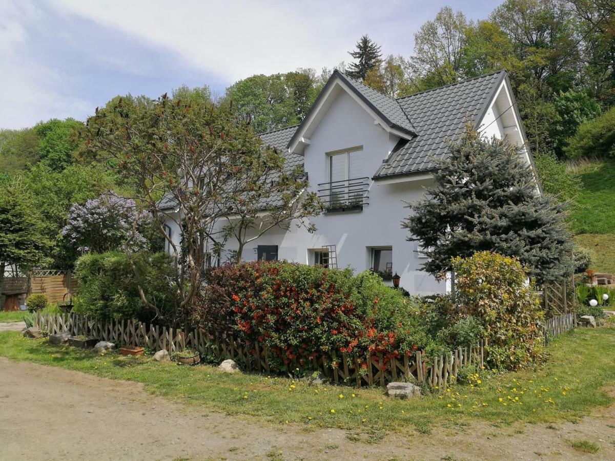 Appartement Aura à Lewin Klodzki Extérieur photo