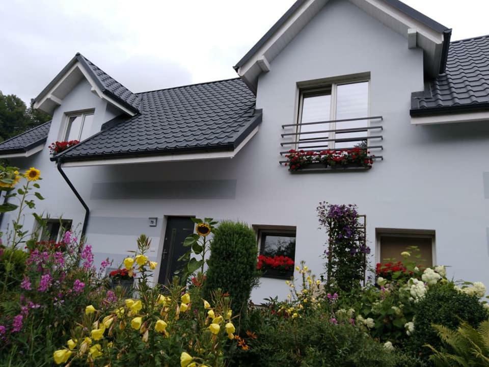 Appartement Aura à Lewin Klodzki Extérieur photo