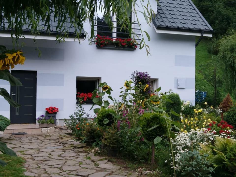Appartement Aura à Lewin Klodzki Extérieur photo