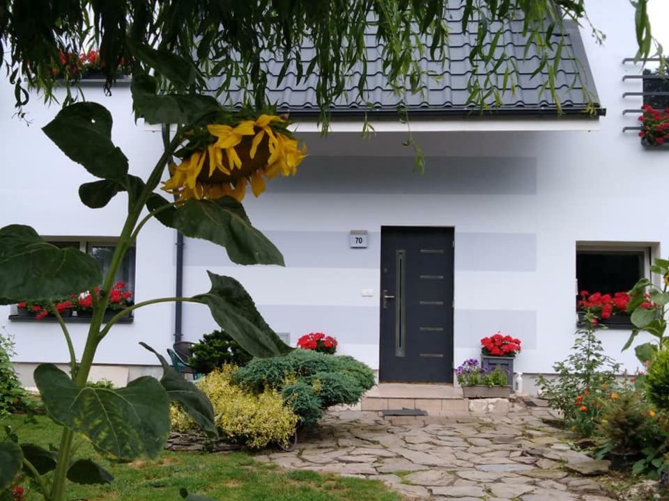 Appartement Aura à Lewin Klodzki Extérieur photo