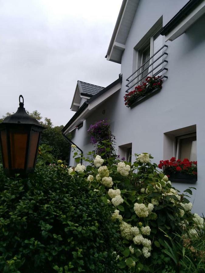 Appartement Aura à Lewin Klodzki Extérieur photo